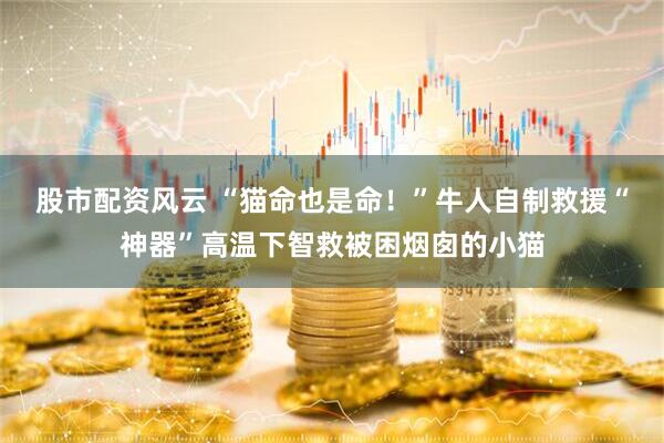 股市配资风云 “猫命也是命！”牛人自制救援“神器”高温下智救被困烟囱的小猫